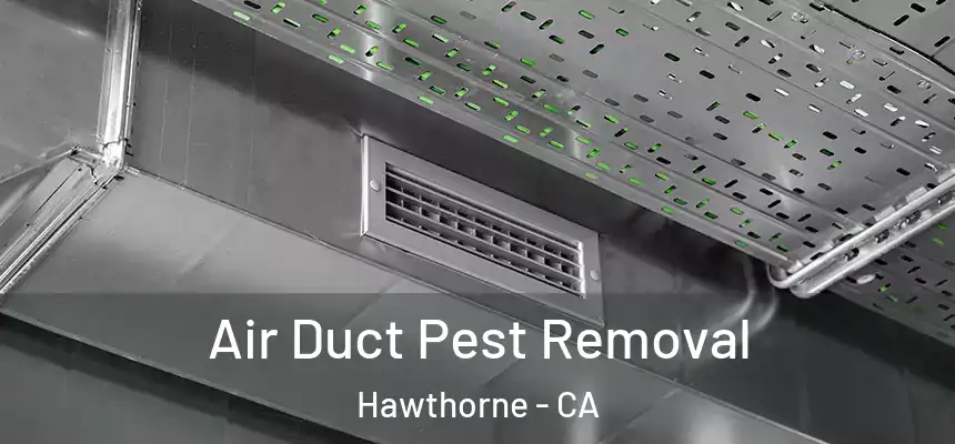Air Duct Pest Removal Hawthorne - CA