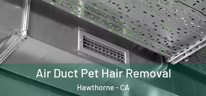Air Duct Pet Hair Removal Hawthorne - CA