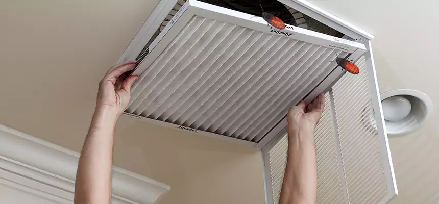 Preventive Cockroach-Proofing for Ducts in Hawthorne