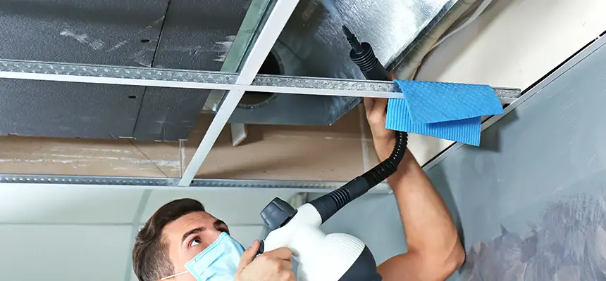 Our Air Duct Rodent Removal Services in Hawthorne, CA