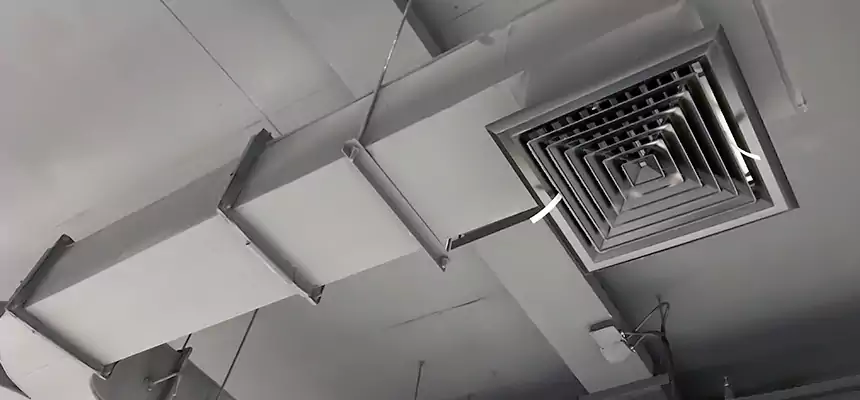 Restorative Allergy Relief Vent Cleaning – Coil, Blower & Housing Detail in Hawthorne