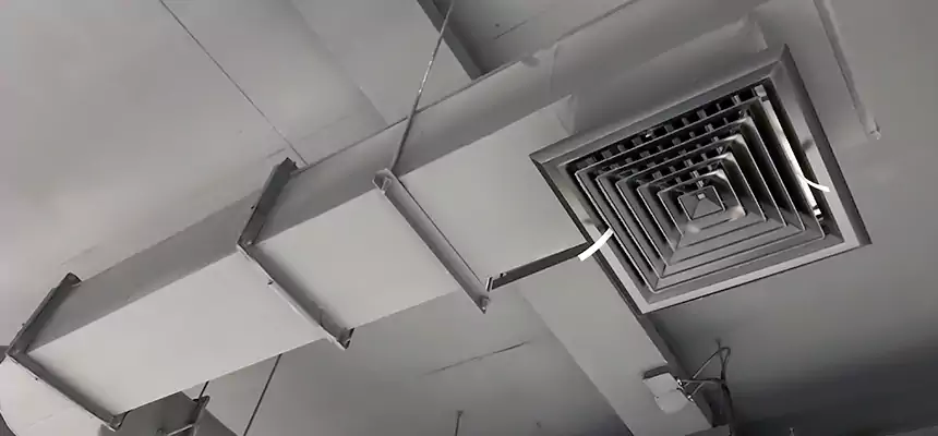 Our Pest Removal From Ducts Services in Hawthorne, CA