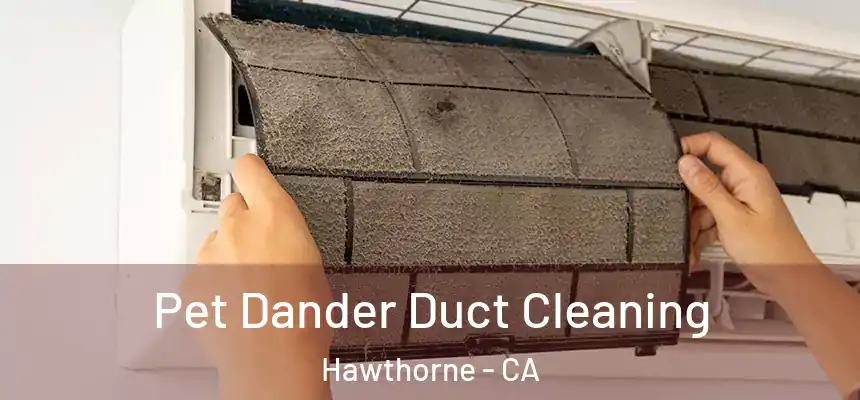 Pet Dander Duct Cleaning Hawthorne - CA