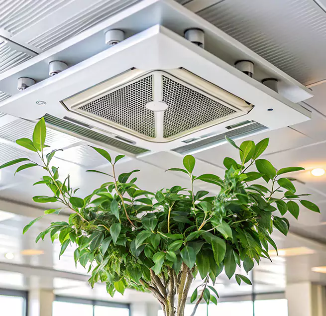 Why Homeowners & Businesses Trust Us in Hawthorne, CA