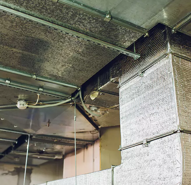 Why Homeowners & Businesses Trust Us in Hawthorne, CA?